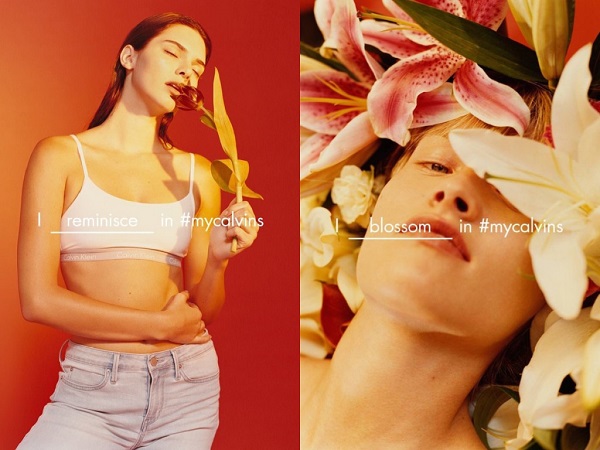 mycalvins2-1024x768